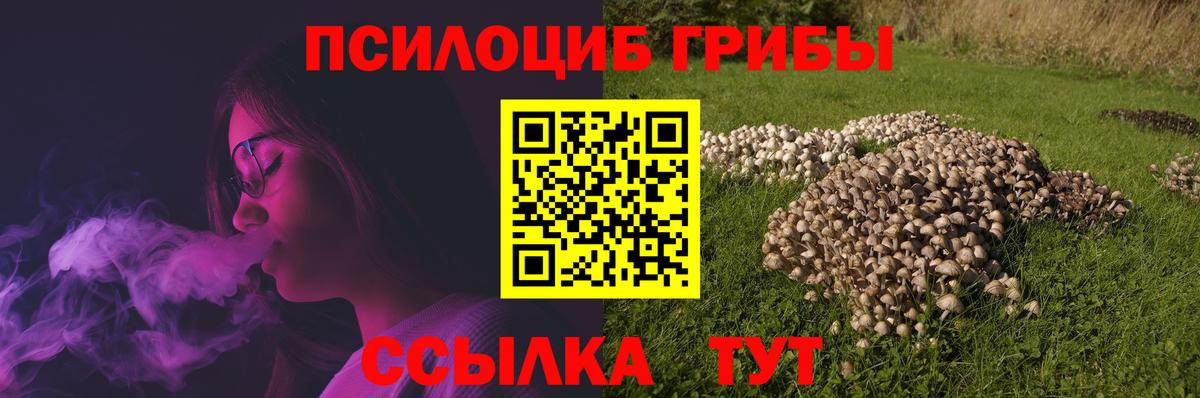 Псилоцибиновые грибы прущие грибы Сальск