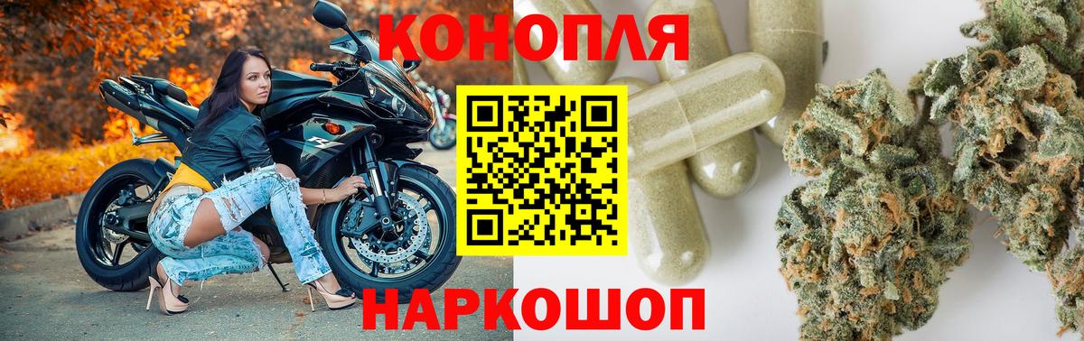 Шишки марихуана Bruce Banner Сальск